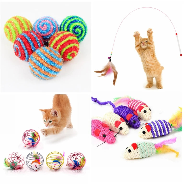 Mouse Cage Cat Teaser Toy – Engaging Feather Toy for Indoor Feline Fun