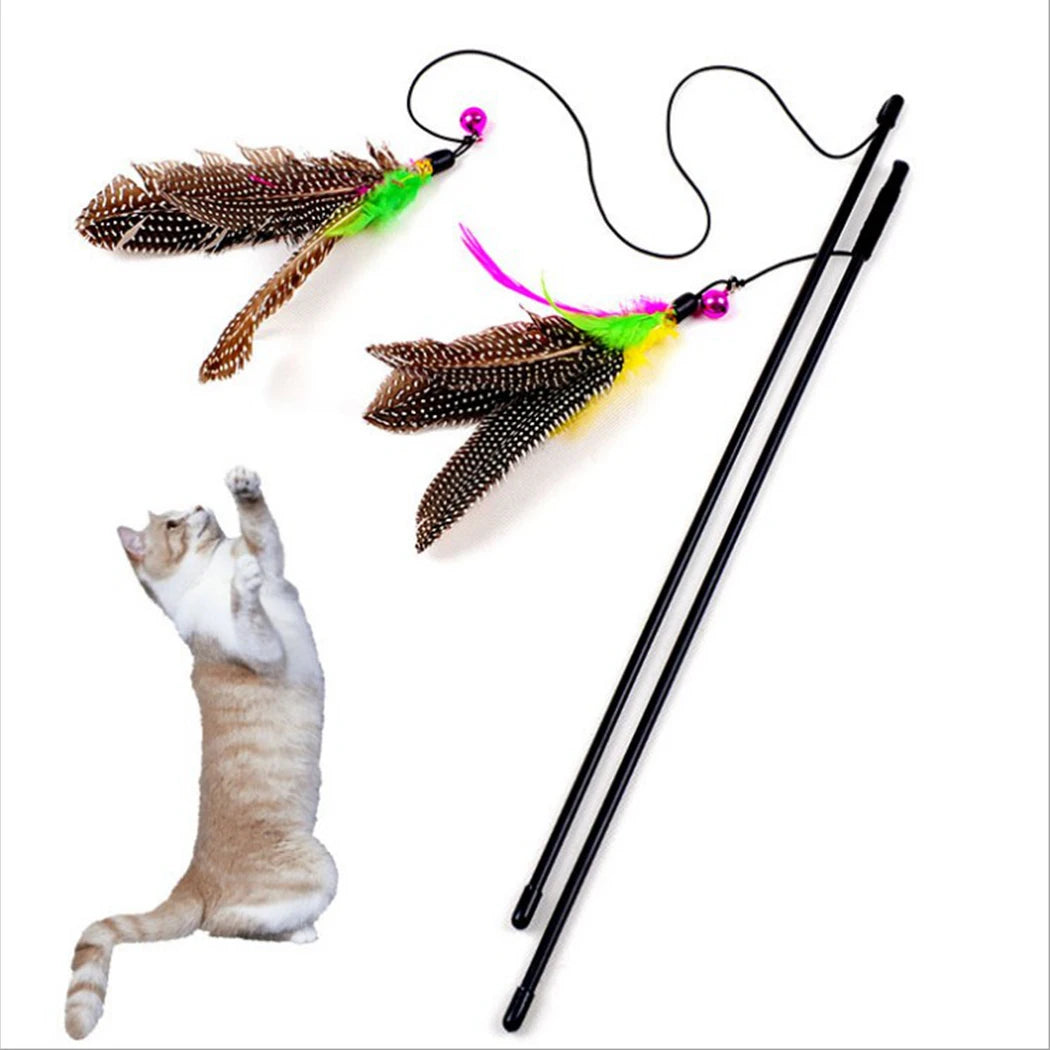 Mouse Cage Cat Teaser Toy – Engaging Feather Toy for Indoor Feline Fun