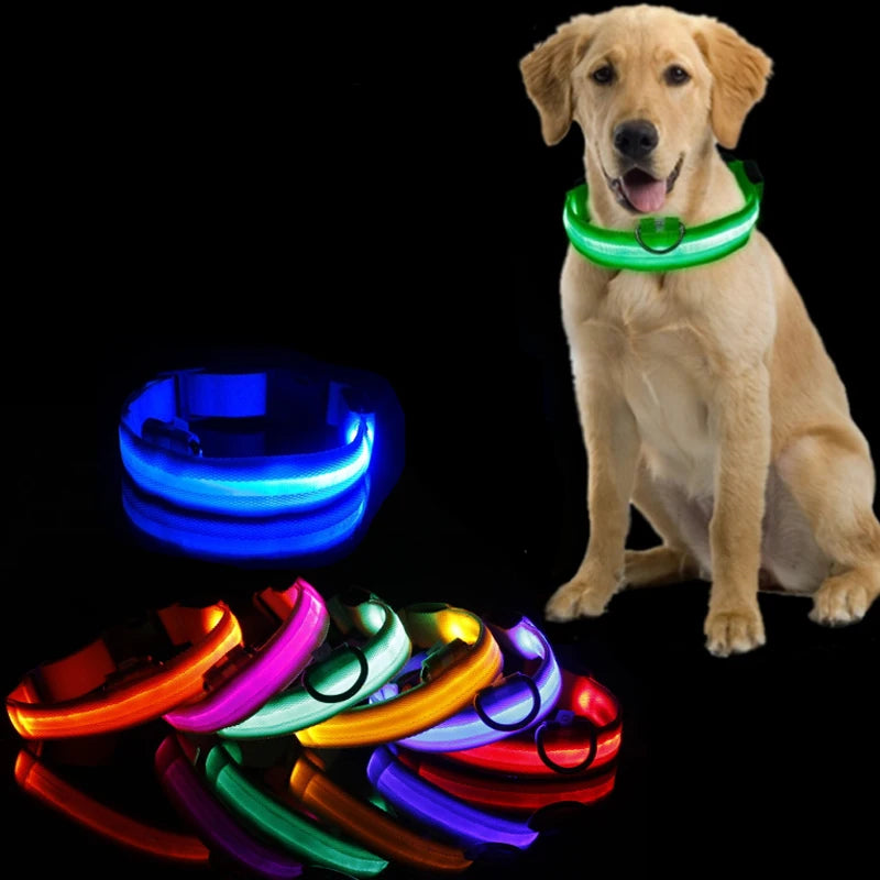 Dog Anti-lost Luminous Collar