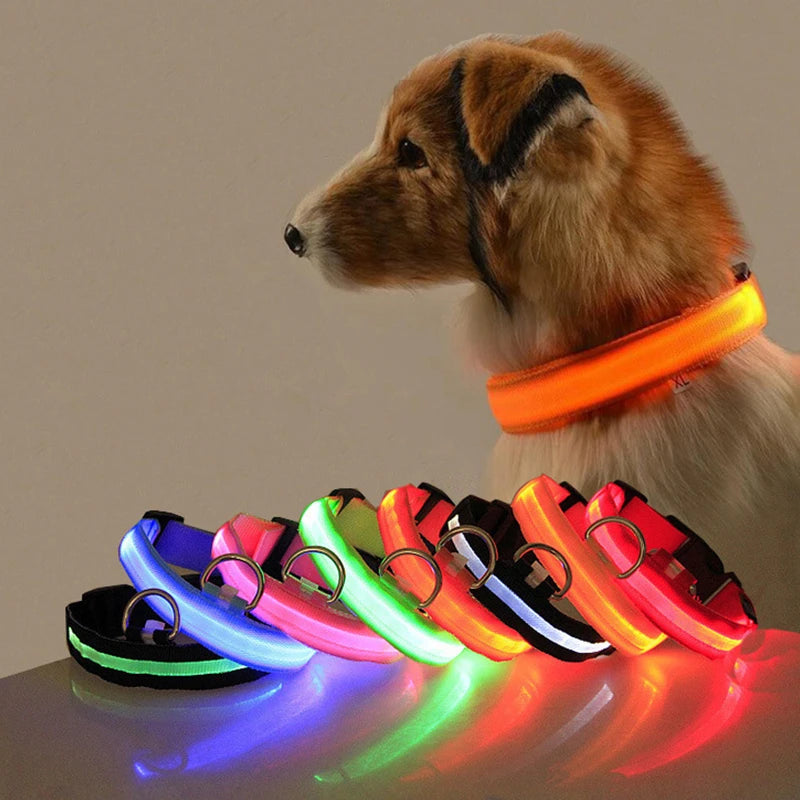 Dog Anti-lost Luminous Collar