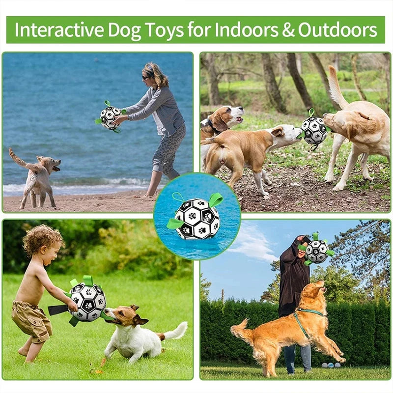 Dog Interactive Football Toy