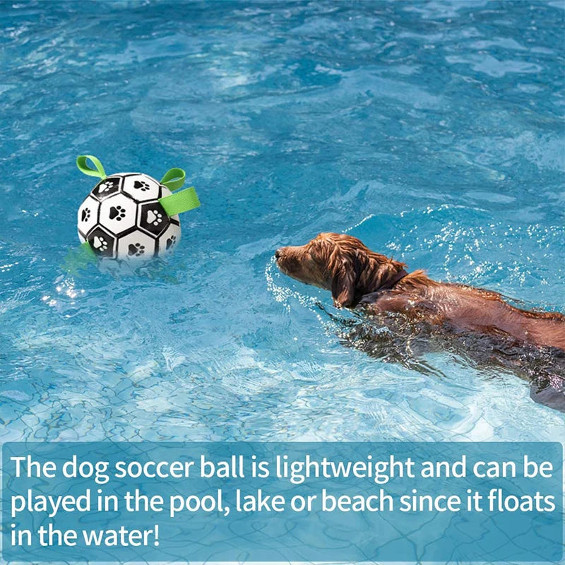 Dog Interactive Football Toy