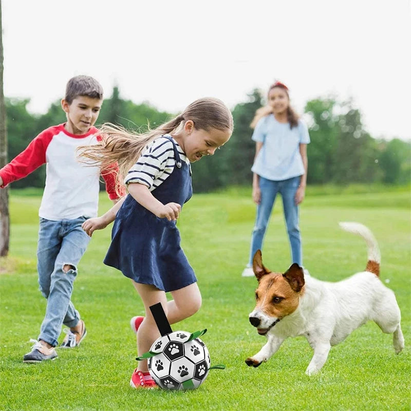 Dog Interactive Football Toy