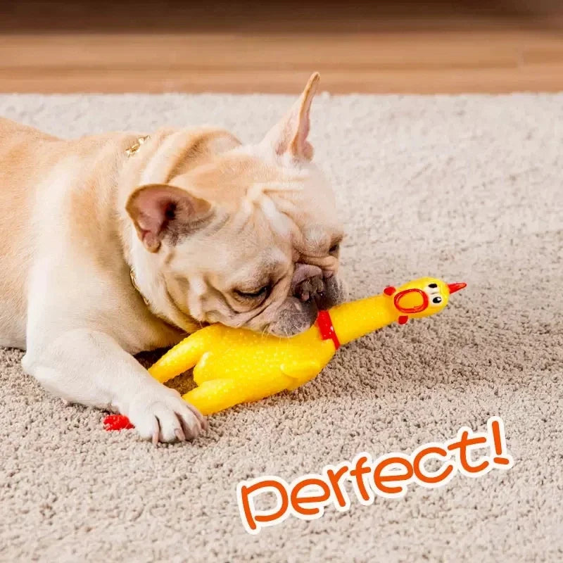 Screaming Chicken Pet Chew Toy – Fun and Durable Squeaky Toy for Dogs